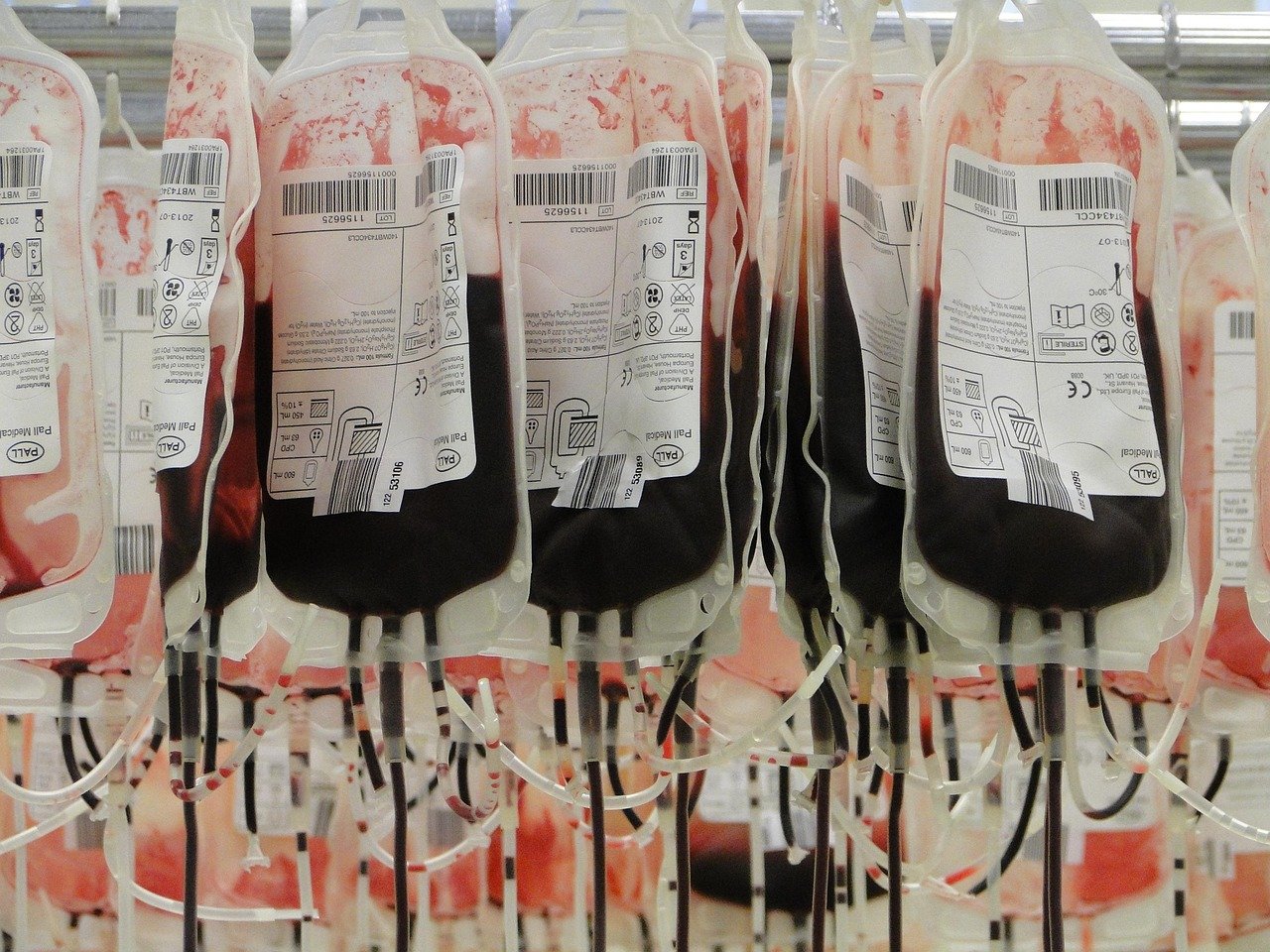 blood bags, red, red blood cells, blood donors, blood bags, blood bags, blood bags, blood bags, blood bags